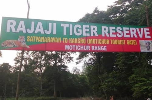jungle safari near indore